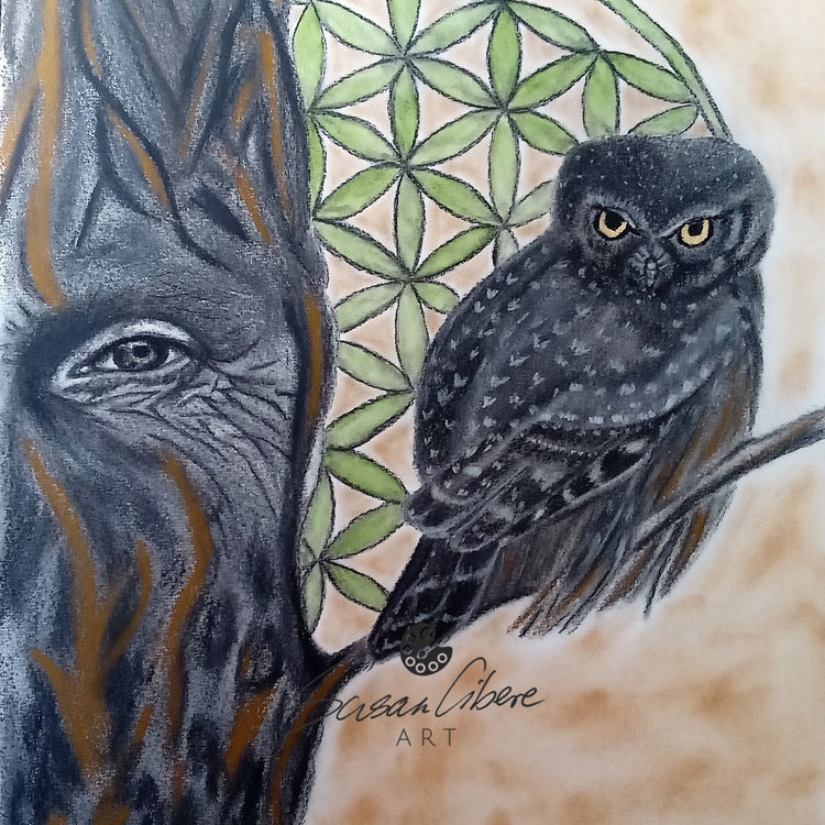 Limited Edition Art Prints