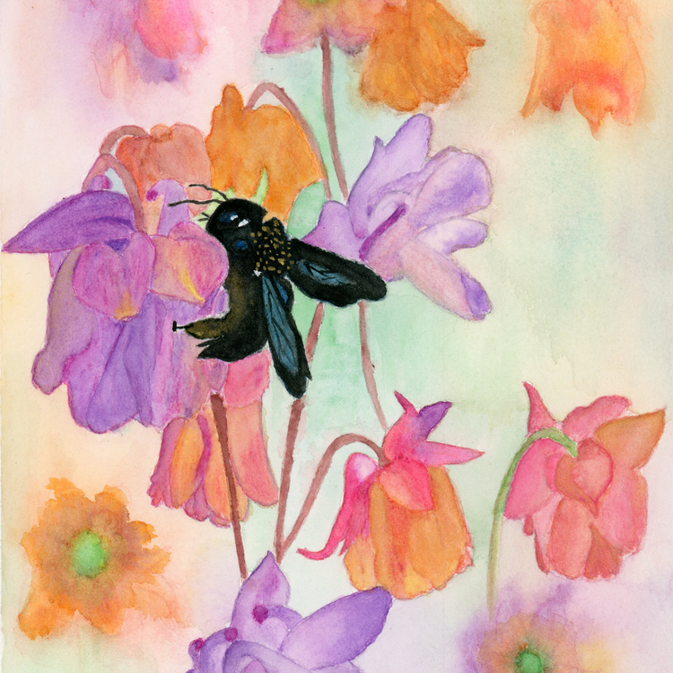 this painting captures the grace of a Violet Carpenter Bee as it delicately explores the vibrant petals of a Columbine Flower in a fantasy garden.