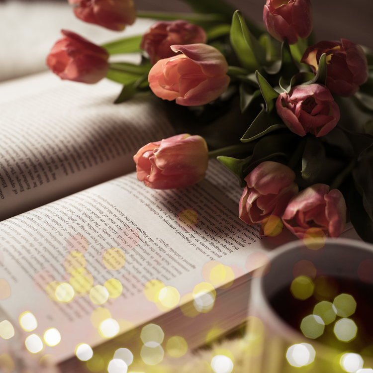 books published by susan cibere the divine ginger