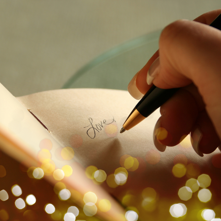 journals designed by susan cibere the divine ginger