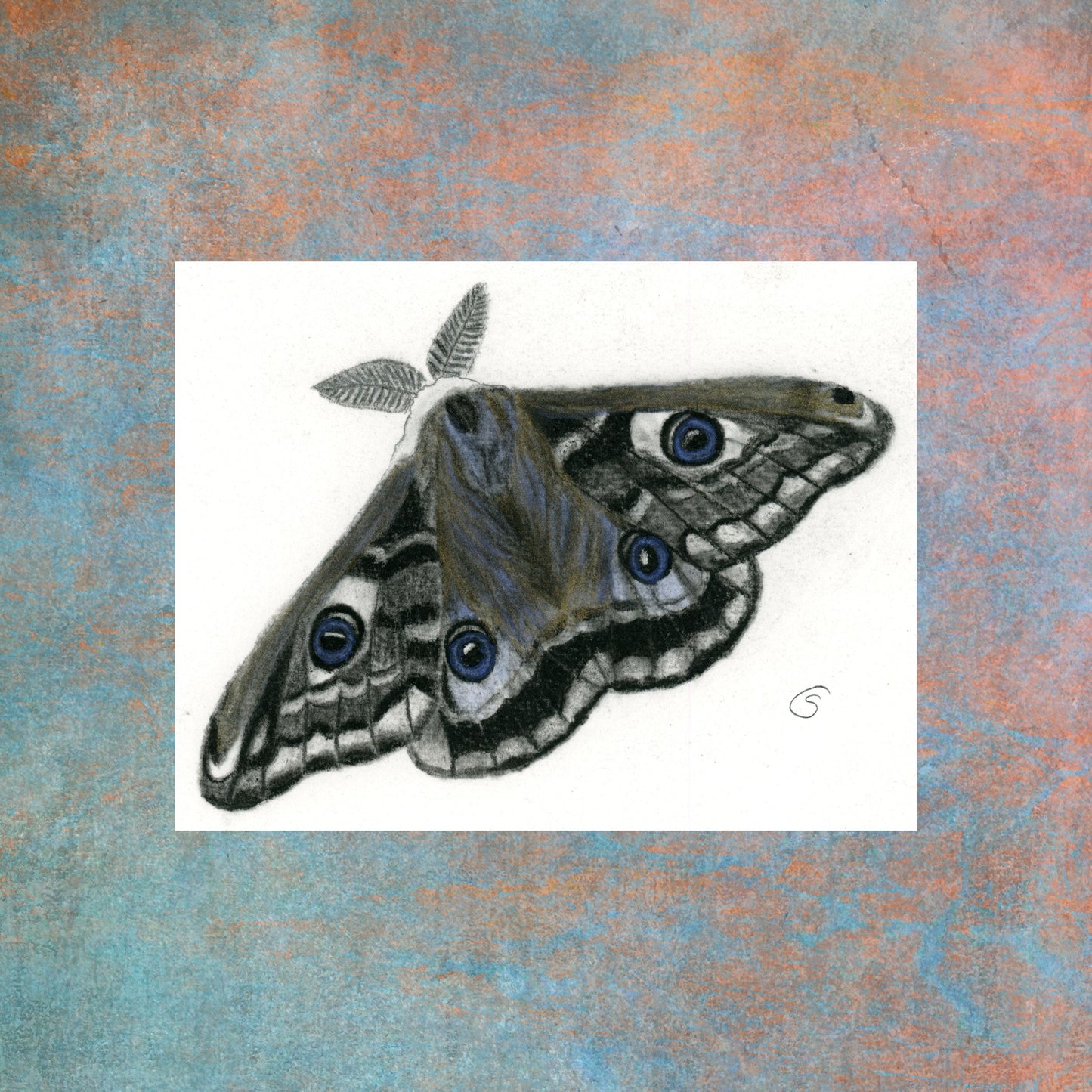 Whimsical Moth- Original Charcoal Drawing with Metallic Highlights. The Divine Ginger