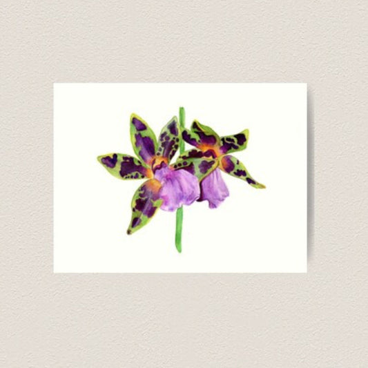 Limited Edition Orchid Art Prints Reproduction of My Original Watercolor Painting
