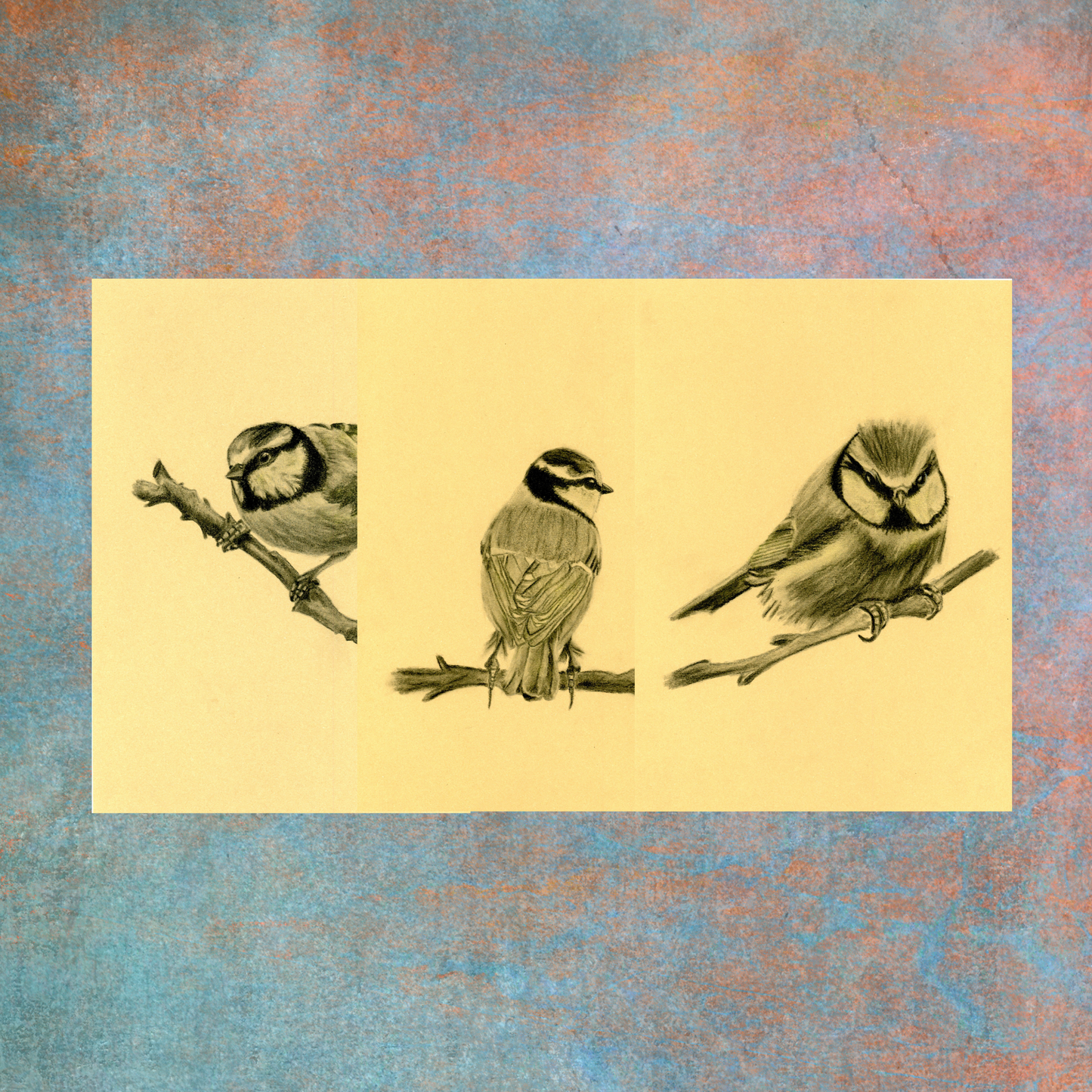 Three Little Golden Birds- Original Charcoal Art. This set includes three original blue tit charcoal drawings, adding character and sophistication to your living space. 