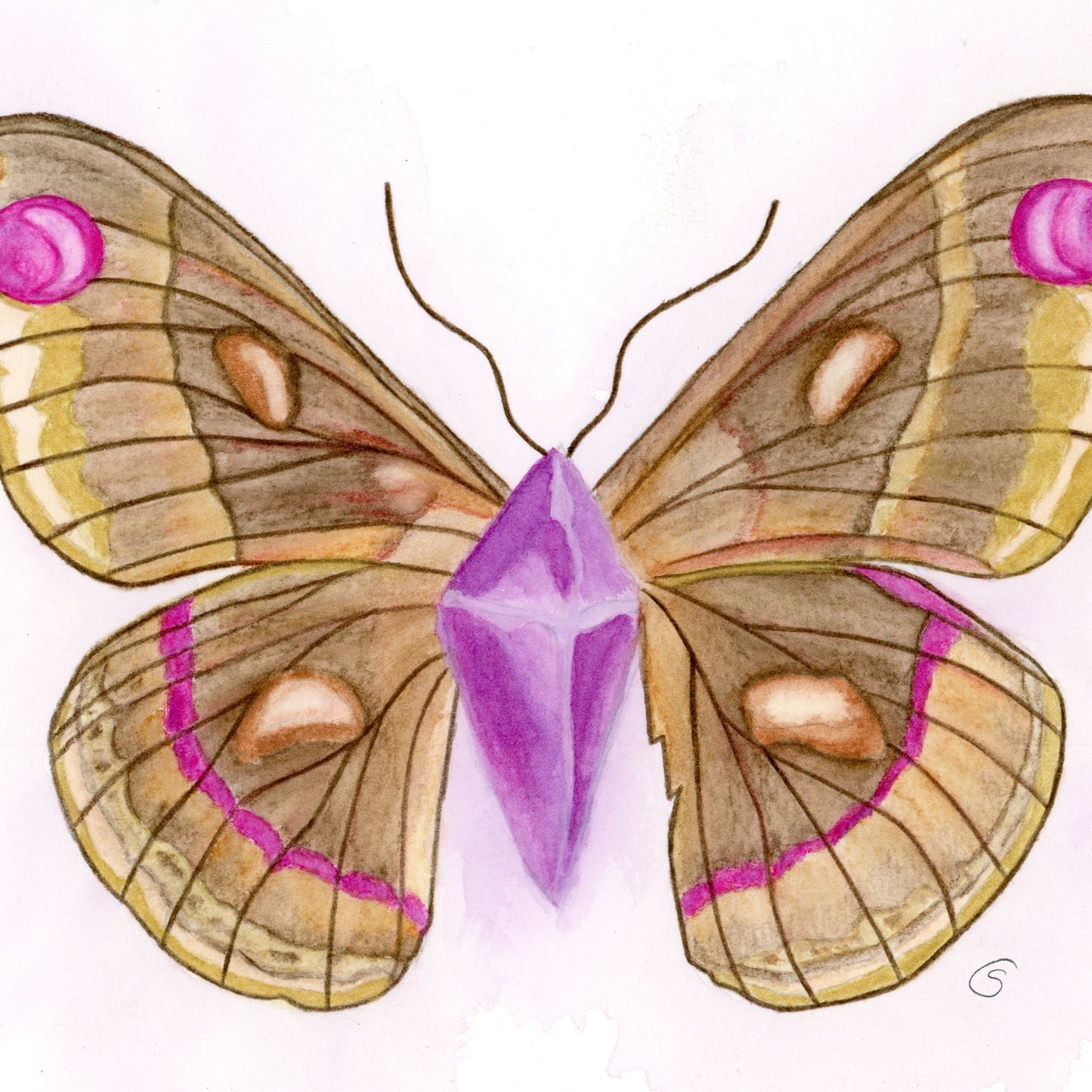 Amethyst Moth- Original Watercolor Painting with Metallic Highlights. The Divine Ginger.