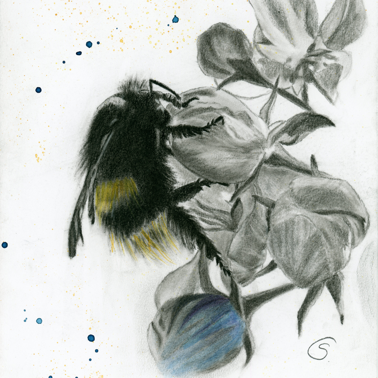"An enchanting charcoal drawing of a whimsical bee surrounded by delicate blossoms, with light watercolor highlights. The artwork is beautifully detailed and rendered on 200 gsm acid-free paper, sized A4 (8.3" x 11.7"), and is unframed. A captivating celebration of nature's beauty."